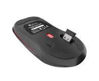 Genesis Zircon 330 - 1077383 - zdjęcie 18